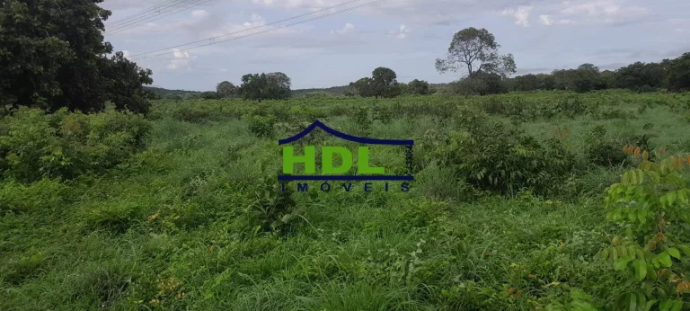 Imagem Fazenda 240 Alqs Dupla Aptidão em Peixe TO