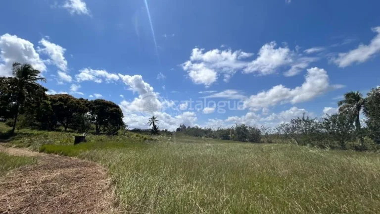 Imagem Chacara a venda completa e produtiva em Sao jose de mipibu