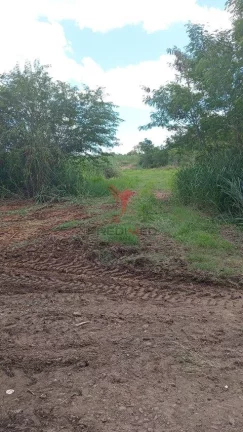 Imagem Vendo Chácara, documentada, Pau D