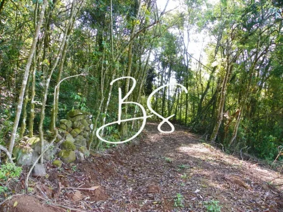 Imagem SITIO RURAL em NOVA PETRÓPOLIS - RS, Linha Pirajá Baixa