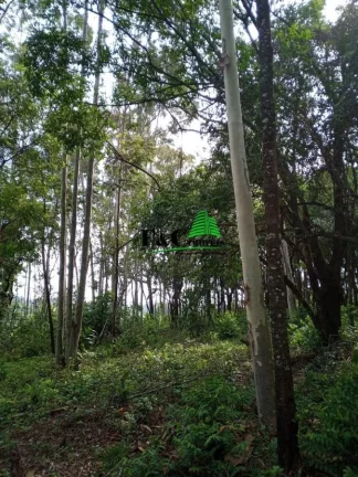 Imagem Terreno para Venda em Rio Claro, Área Rural de Rio Claro