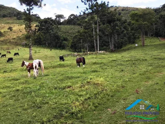 Imagem Deslumbrante Área Rural – Beleza Natural e Infraestrutura Pronta!