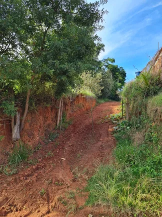 Imagem CHÁCARA LOCALIZADA NA PAINEIRA