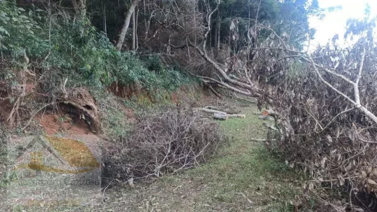 Imagem Vendo Terreno com 7800 mts² em Varginha