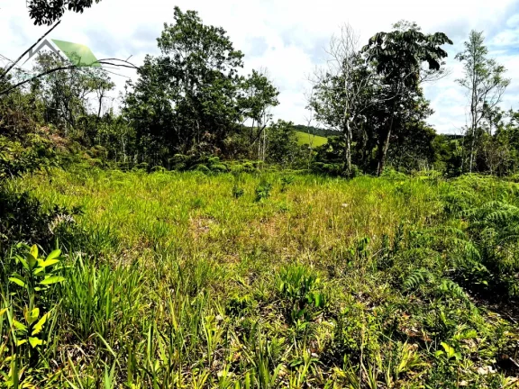 Imagem Chácara com 2 Quartos à Venda, 36.000 m² em Sabaúna - Mogi Das Cruzes
