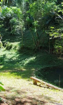 Imagem Terreno Comercial para Venda em Nova Friburgo, Mury, 1 dormitório, 1 banheiro, 3 vagas