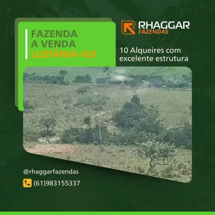 Fazenda 10 Alqueires à Venda em Luziânia, Goiás!