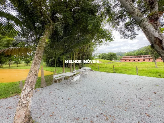 Imagem Sítio à venda em Camboriú-SC com 15.595m². Um verdadeiro paraíso com 6 lagoas, pomar e móveis rústicos.