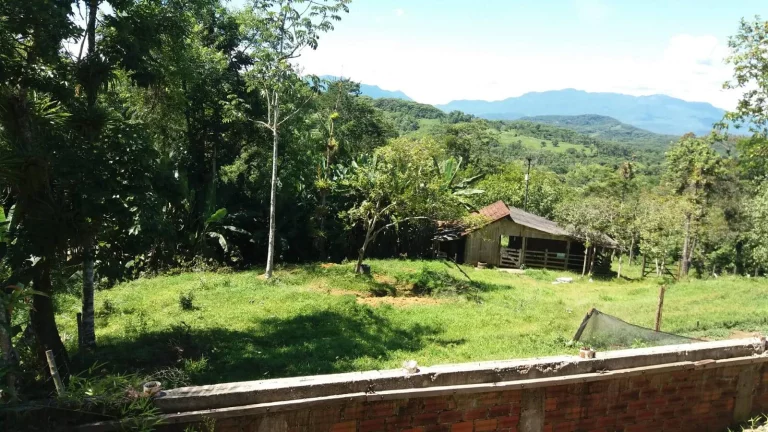 Imagem Chácara na Serra da Graciosa em frente ao Asfalto - Antonina - R$900mil