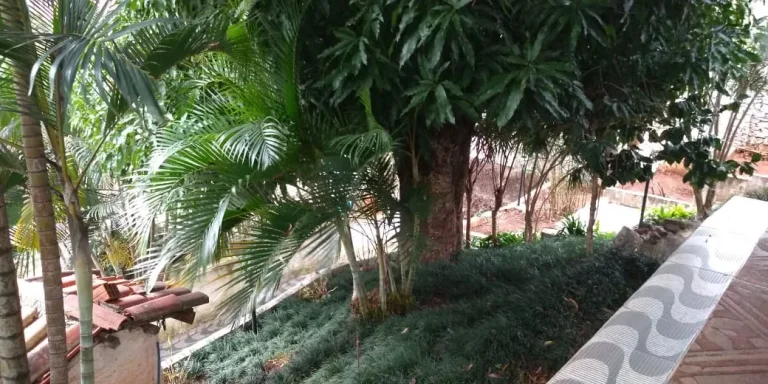 Imagem Chácara para Venda em Votorantim, Vila Dominguinho, 4 dormitórios, 3 banheiros