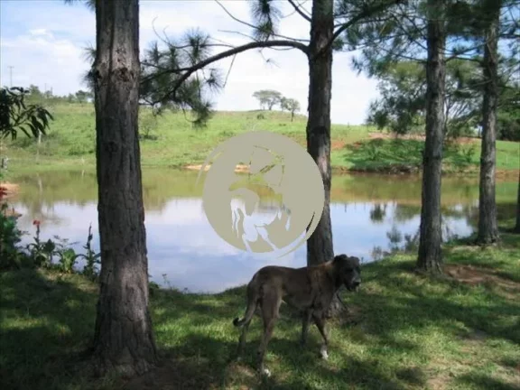 Imagem MARAVILHOSO SITIO PORTEIRA FECHADA 48.000 M2 NA BEIRA DO RIO SOROCABA , MUNICIPIO DE JUMIRIM EXCELEN...