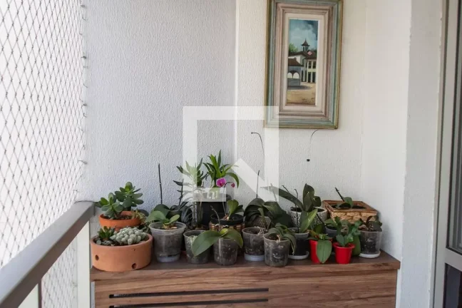 Imagem Apartamento à Venda - Vila Mariana, 3 Quartos, 115 m2