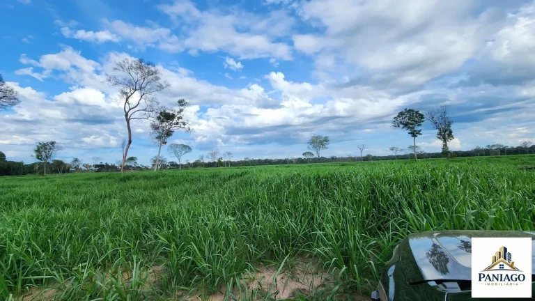 Imagem Fazenda 1550ha