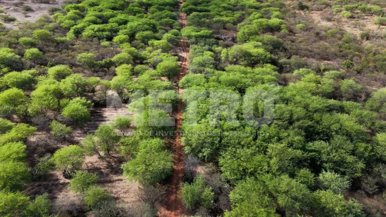 Imagem Chácara à venda na Estrada das Pedrinhas com 18.1ha, PETROLINA - PE