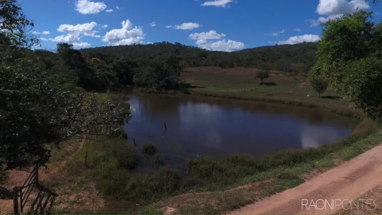 Imagem Fazenda à Venda, 94.041.000 m² em Zona Rural - Ipameri