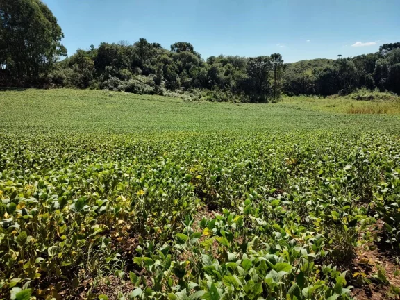 Imagem TERRENO RURAL em CAMPO BELO DO SUL - SC, Área Rural