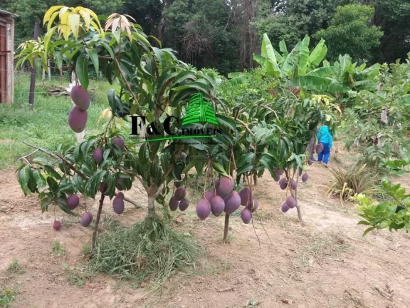 Imagem Chácara Condomínio para Venda em Limeira, Bairro dos Pires, 2 dormitórios, 2 banheiros, 1 vaga