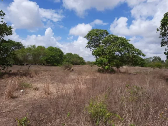 Imagem Granja para Venda em Macaíba, Centro, 2 dormitórios, 3 banheiros, 9 vagas