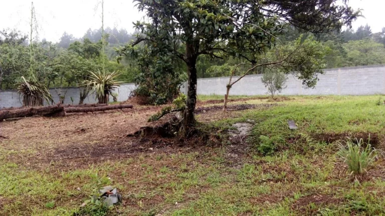 Imagem Terreno no Jardim Silveira - Marsilac