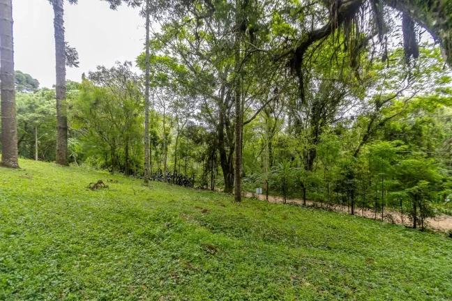 Imagem Terreno 745m2 rua sem saída Santa Felicidade