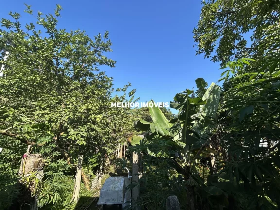 Imagem Terreno á venda na Interprais - Praia do Estaleirinho em Balneário Camboriú