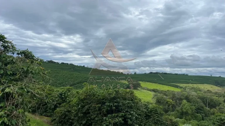 Imagem Fazenda - Oliveira - Zona Rural