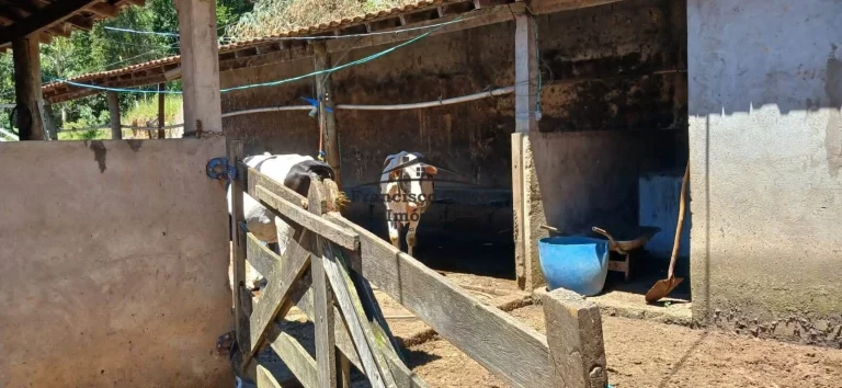 Imagem Fazenda à venda no bairro Campos Novos - Cunha/SP