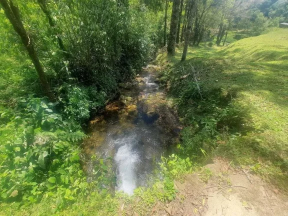 Imagem Área à venda (65,53ha) - Águas Mornas/SC