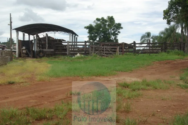 Imagem Fazenda 59 alqueires para soja, milho, gado em Cássia dos Coqueiros - SP . Temos autorização para venda.