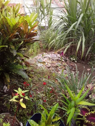 Imagem Sobrado à venda na Vila Calú com 2 Dormitórios