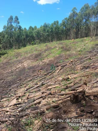 Imagem Terreno à venda, 13800 m² por R$ 403.000,00 - Centro - Nazaré Paulista/SP