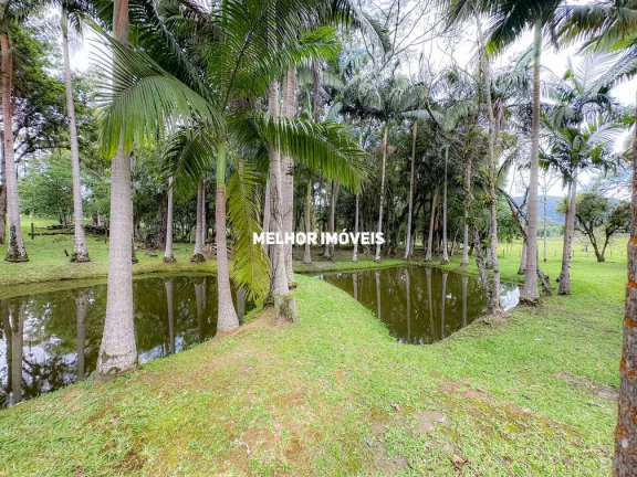 Imagem Sítio à venda em Camboriú-SC com 15.595m². Um verdadeiro paraíso com 6 lagoas, pomar e móveis rústicos.