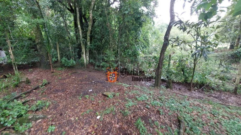 Imagem Chácara com 4 dormitórios à venda, 8000 m² por R$ 990.000,00 - Dos Tenentes - Extrema/MG