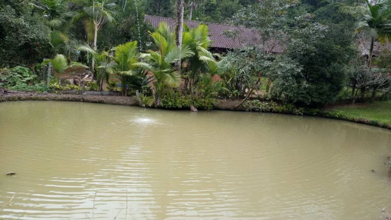 Chácara à venda