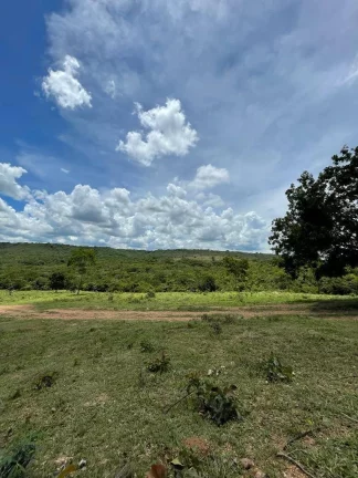 Imagem Fazenda à Venda – 117,3 Hectares em Luziânia-GO