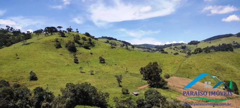 Imagem Excepcional terreno rural na Serra da Mantiqueira - Paraisópolis MG