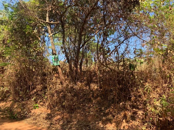 Imagem EXCELENTE CHÁCARA DE 5.530 M², EM JUATUBA!