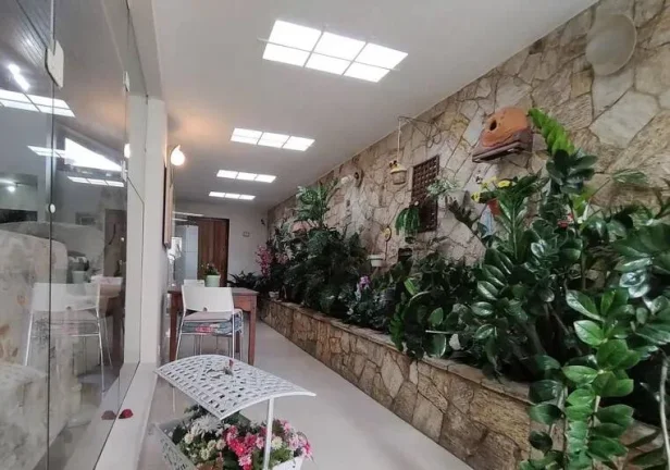 Imagem Casa terrea alto Padrao 295 m² 3 Dormitorios 4 Vagas de Garagens