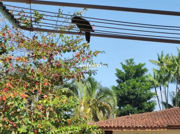 Imagem Apartamento de dois dormitórios pertinho do mar