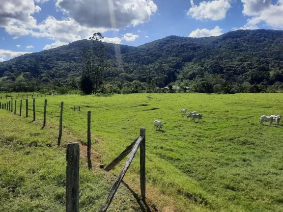 Imagem Terreno à Venda, 36.846 m2, com Viabilidade para Loteamento. Sul do Rio, Santo Amaro da Imperatriz, SC