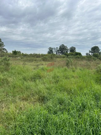 Imagem Excelente terreno medindo frente 18,55m, lado esquerdo 64,40m, lado direito 68,70m e fundo com 19,28m, totalizando 1.250m².
Rua com rede de esgoto e asfalto.