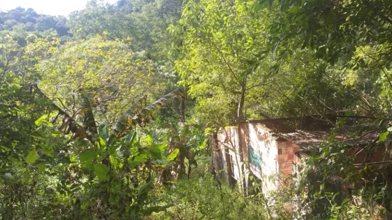 Imagem Sítio - Venda em Cabreúva e Região/SP