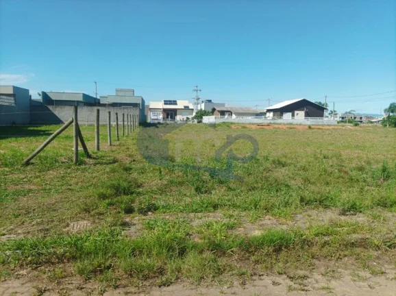 Imagem Refúgio na Natureza: Terreno no Morada das Palmeiras em Torres