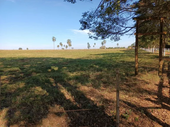 Imagem FAZENDA AVARÉ-SP
