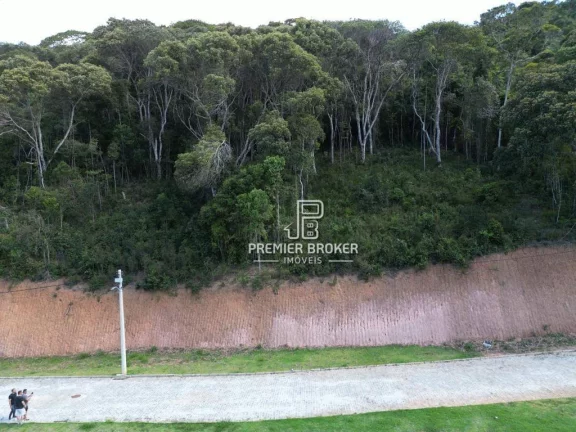 Imagem Terreno à venda, 722 m² por R$ 380.000,00 - Prata - Teresópolis/RJ