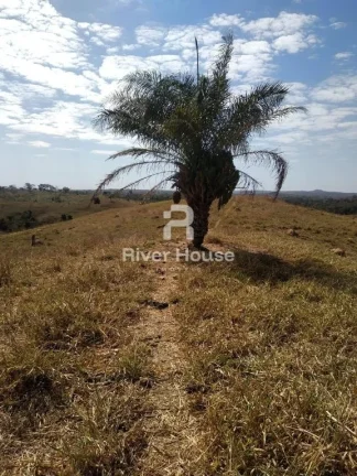 Imagem Fazenda à venda finalidade pecuaria formada, localizada na Região do Rio Manso , Chapada dos Guimarães - MT