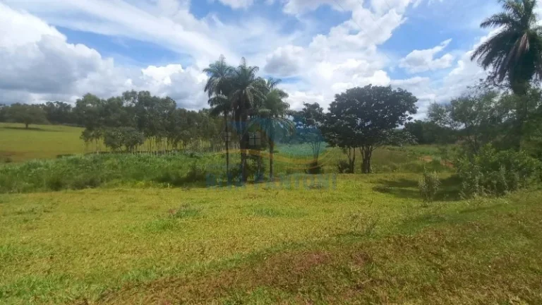 Imagem Rancho - Santo Antônio da Alegria - Poção