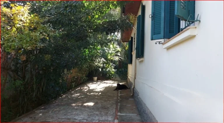 Imagem Casa para Locação em São Paulo, Jardim Novo Mundo, 4 dormitórios, 4 suítes, 5 banheiros, 6 vagas