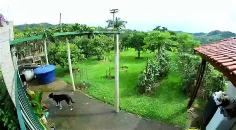 Imagem RURAL VILA SANTISTA - SERRA NEGRA SP