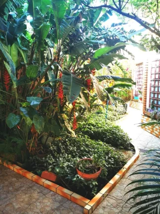 Imagem Casa terrea na vila lucia, dois dormitorios, sala , cozinha, edicula e espaço para home office